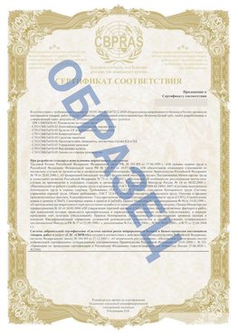 Образец Приложение к СТО 01.064.00220722.2-2020 Гремячинск Сертификат СТО 01.064.00220722.2-2020 